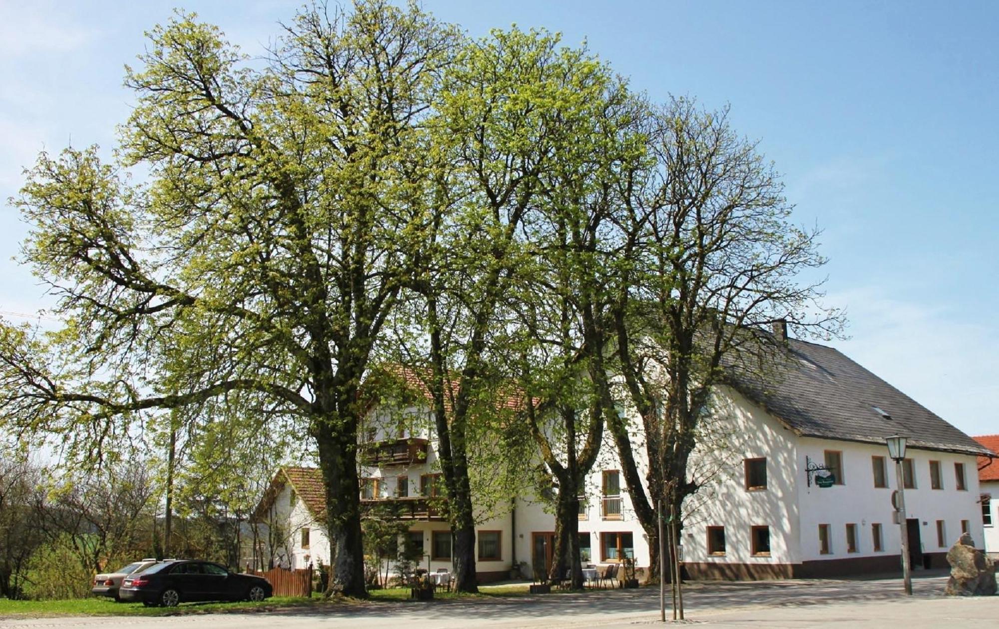 Gasthof-Pension Zum Haugstein - Familie Eder Engelhartszell Esterno foto